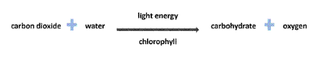 Photosynthesis chemical equation
